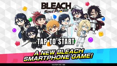 BLEACH Soul Puzzle