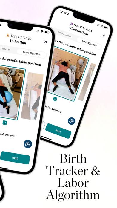 Motion: Labor and Birth Tool App screenshot #2