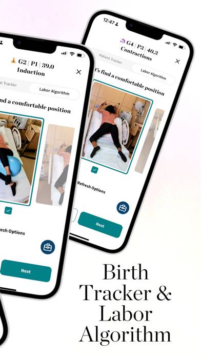 Motion: Labor and Birth Tool App screenshot