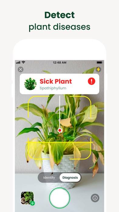 AI Plant Finder: Identify Scan App screenshot #3