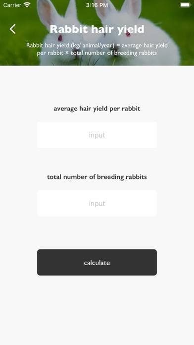 RptoalTotoRabbit Schermata dell'app #2
