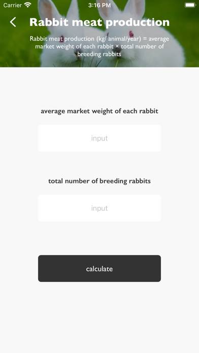 RptoalTotoRabbit Schermata dell'app #3
