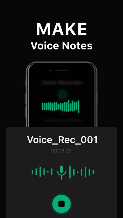 Phone Call Recorder Record App Capture d'écran de l'application #4
