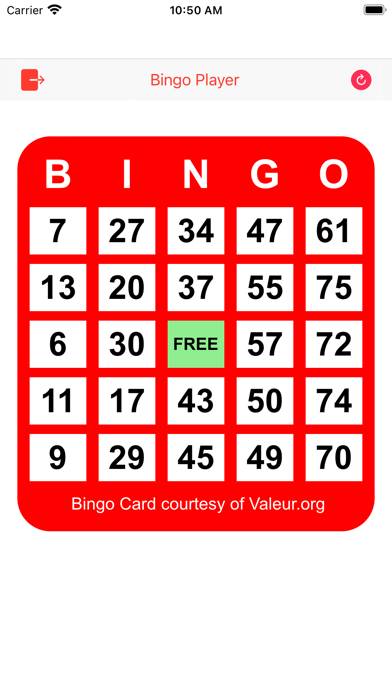 Play Bingo game screenshot