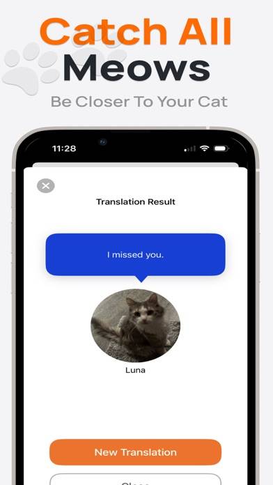 Cat Translator Meowlingo skärmdump av spelet