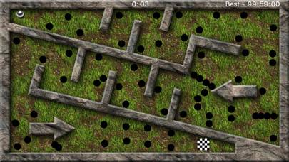 The Labyrinth Tilt Maze App screenshot #4