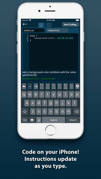 L2Code CSS App screenshot #4