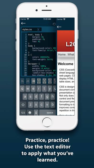 L2Code CSS App screenshot #5