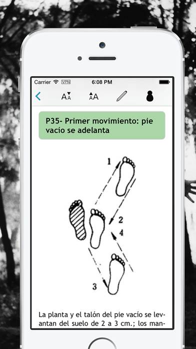 Zhan Zhuang: Nutrir la Vida App screenshot