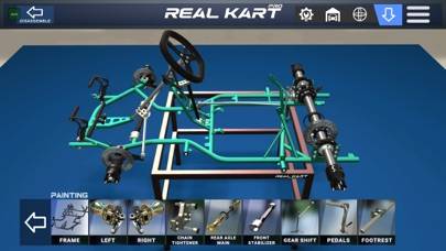 Real Kart PRO App screenshot #2