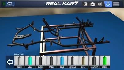 Real Kart PRO Schermata dell'app #3