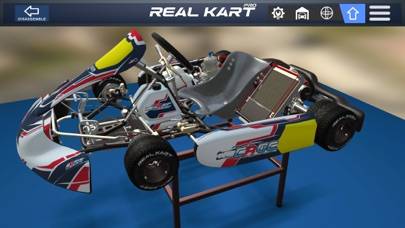 Real Kart PRO App screenshot #4