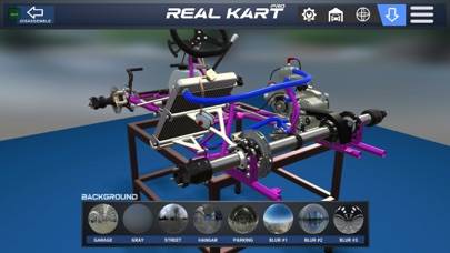 Real Kart PRO App screenshot #5