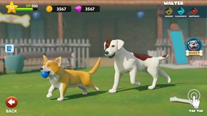 My Dog Life: Puppy Island Park App screenshot #4