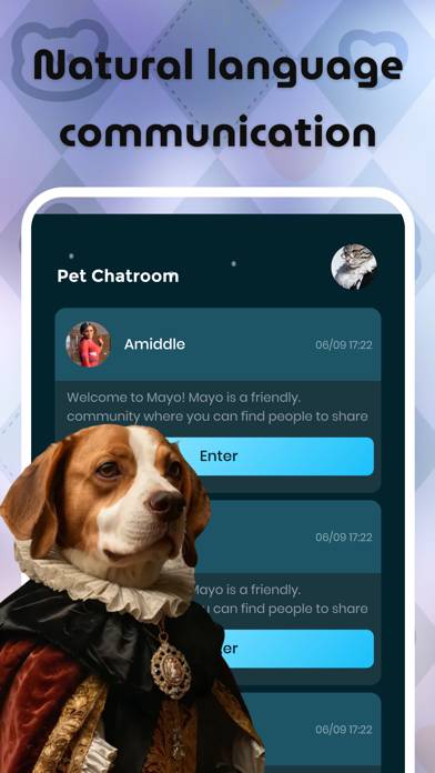 Icely App screenshot