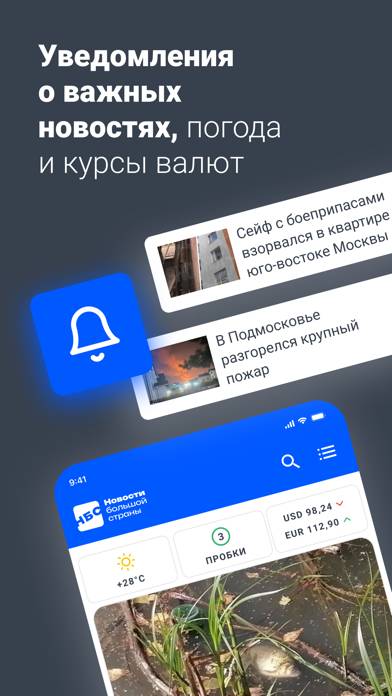 НБС – Новости Большой Страны App screenshot