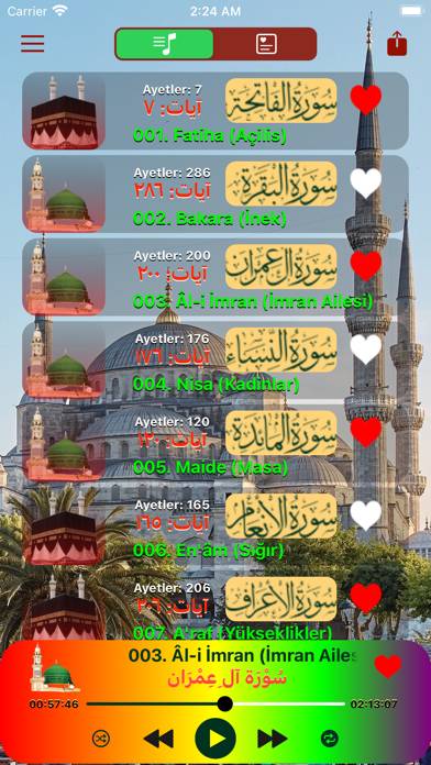 Quran In Turkish MP3 and PDF App screenshot #1