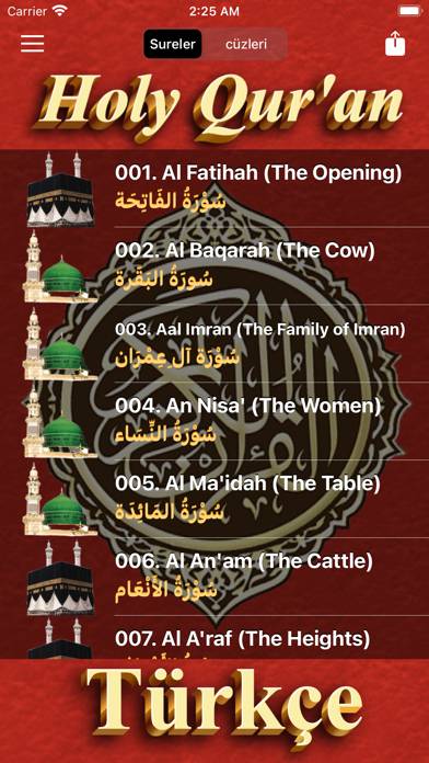 Quran In Turkish MP3 and PDF App screenshot #2
