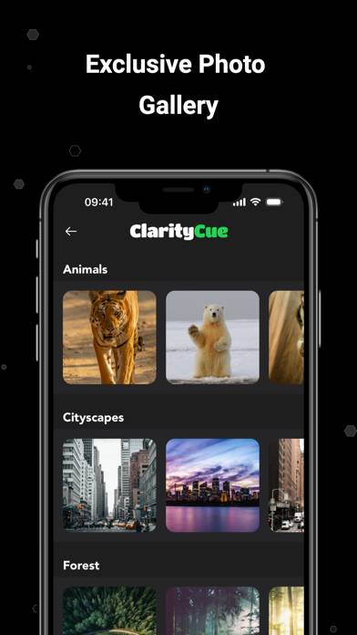 ClarityCue App screenshot #3