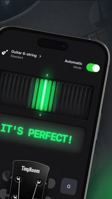 Guitar Tuner App skärmdump