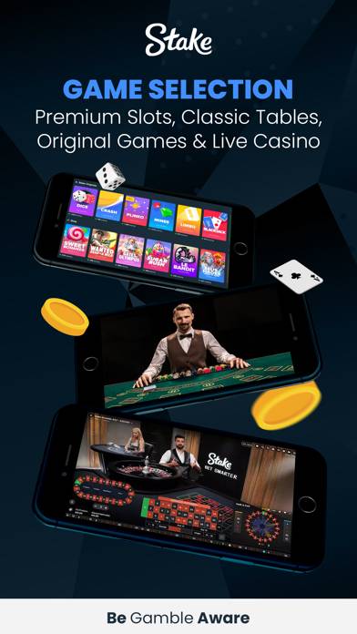 Stake Casino Online Italy schermata del gioco