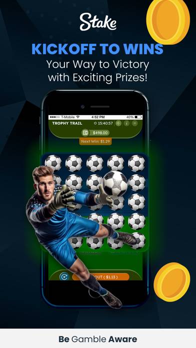 Stake Casino Online Italy schermata del gioco