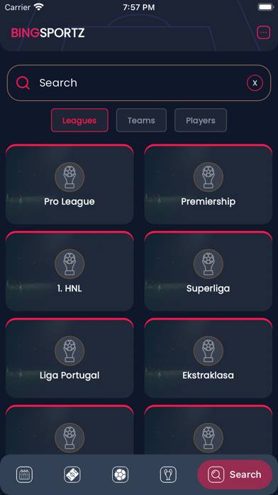 Bingsportz Football App skärmdump