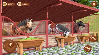 Stable Horse Games: Rival Star skärmdump