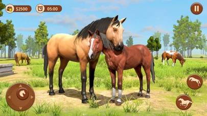 Stable Horse Games: Rival Star skärmdump av spelet