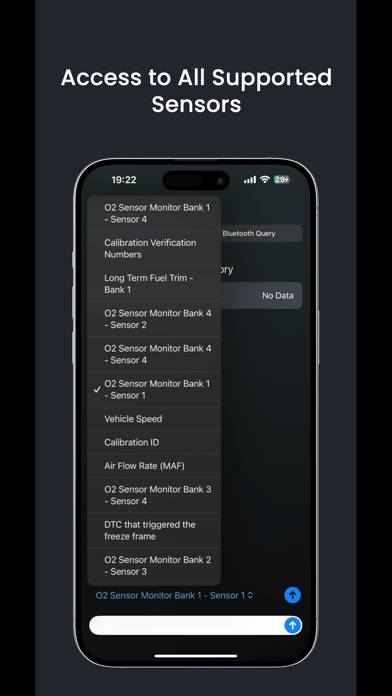 Torque Pro : OBD2 Car Scanner Capture d'écran de l'application #3