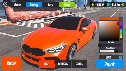 Japan Highway: Car Racing Game Spiel-Screenshot
