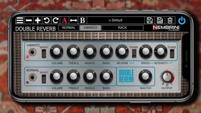 Double Reverb Guitar Amplifier