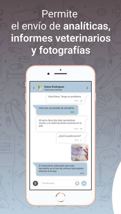 Canitas Vet captura de pantalla #3