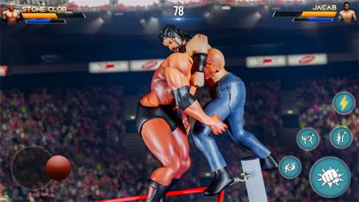 Real Wrestlers Championship 3D App screenshot