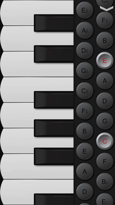 Piano Accordion screenshot