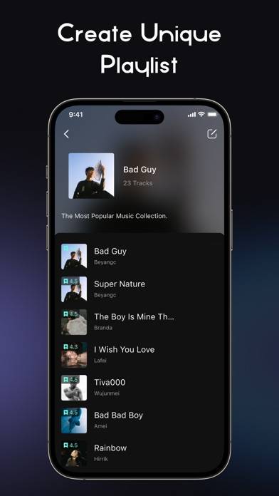 RaMusi: Offline Music Player App screenshot