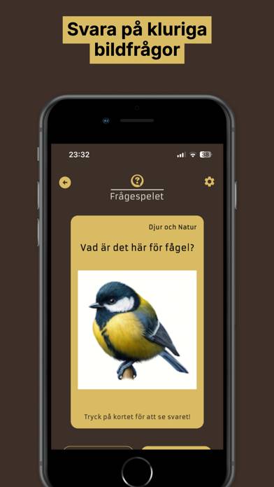 Frågespelet skärmdump av spelet