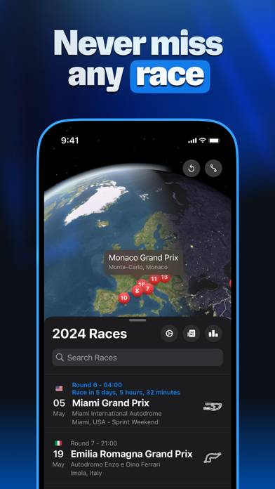 Formula 1 Widgets Captura de pantalla de la aplicación #3