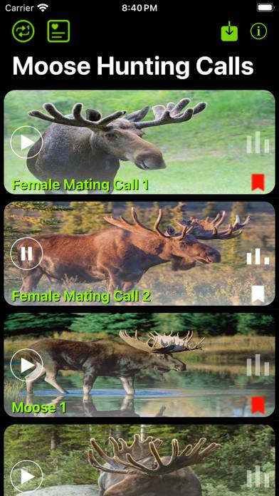 Moose Hunting Calls App screenshot