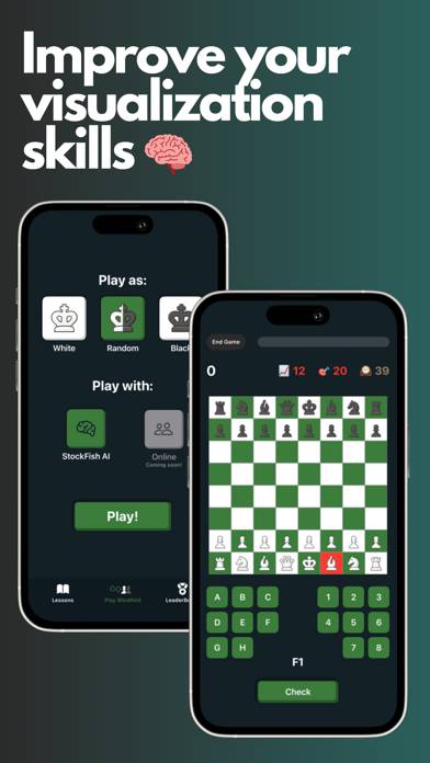 Blindfold Chess