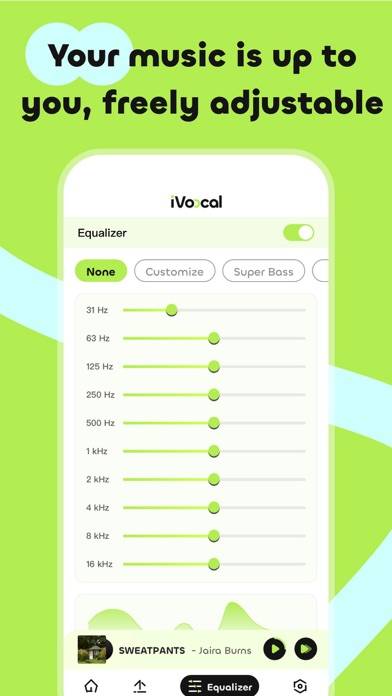 IVocal-Melodic Bliss App screenshot