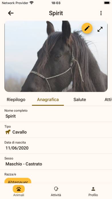 PawsPet Schermata dell'app