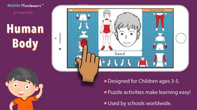 Human Body -Montessori Anatomy screenshot