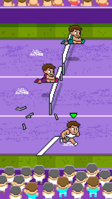 Sport king pro: hurdles race screenshot