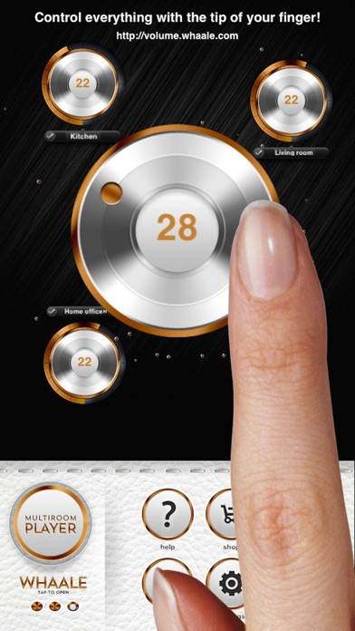 WHAALE Multiroom Player Captura de pantalla de la aplicación #3