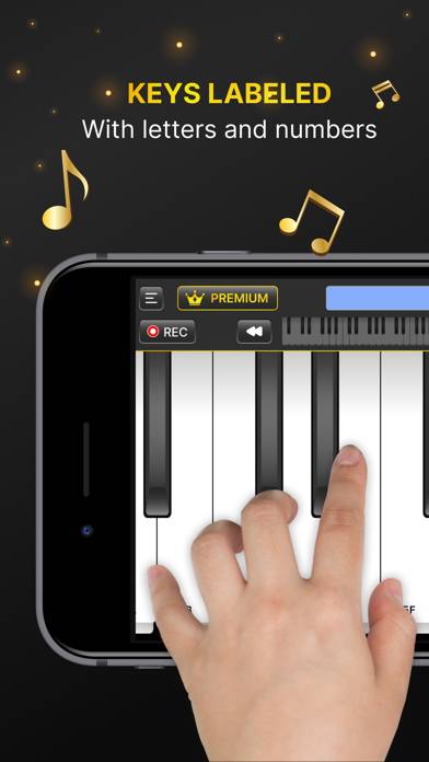 Learn Piano: Fun Real Keyboard App-Screenshot