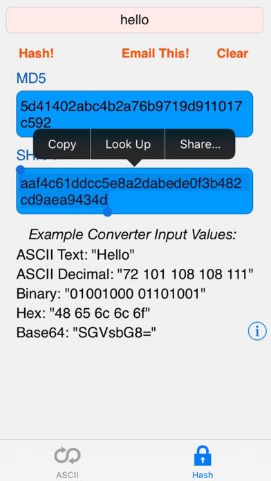 HEX ASCII BASE64 MD5 SHA conv. App screenshot #2