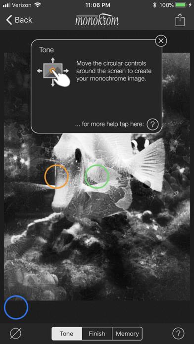 Monokrom B&W Photo Editor Schermata dell'app #3