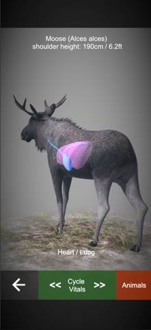 Rifle Hunt Simulator Capture d'écran de l'application