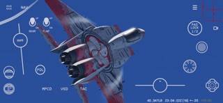 Red Flag Sim game screenshot